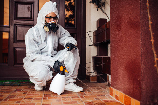 Reliable Mosquito Control contractor in Orient, NY by Show Me Pest Control